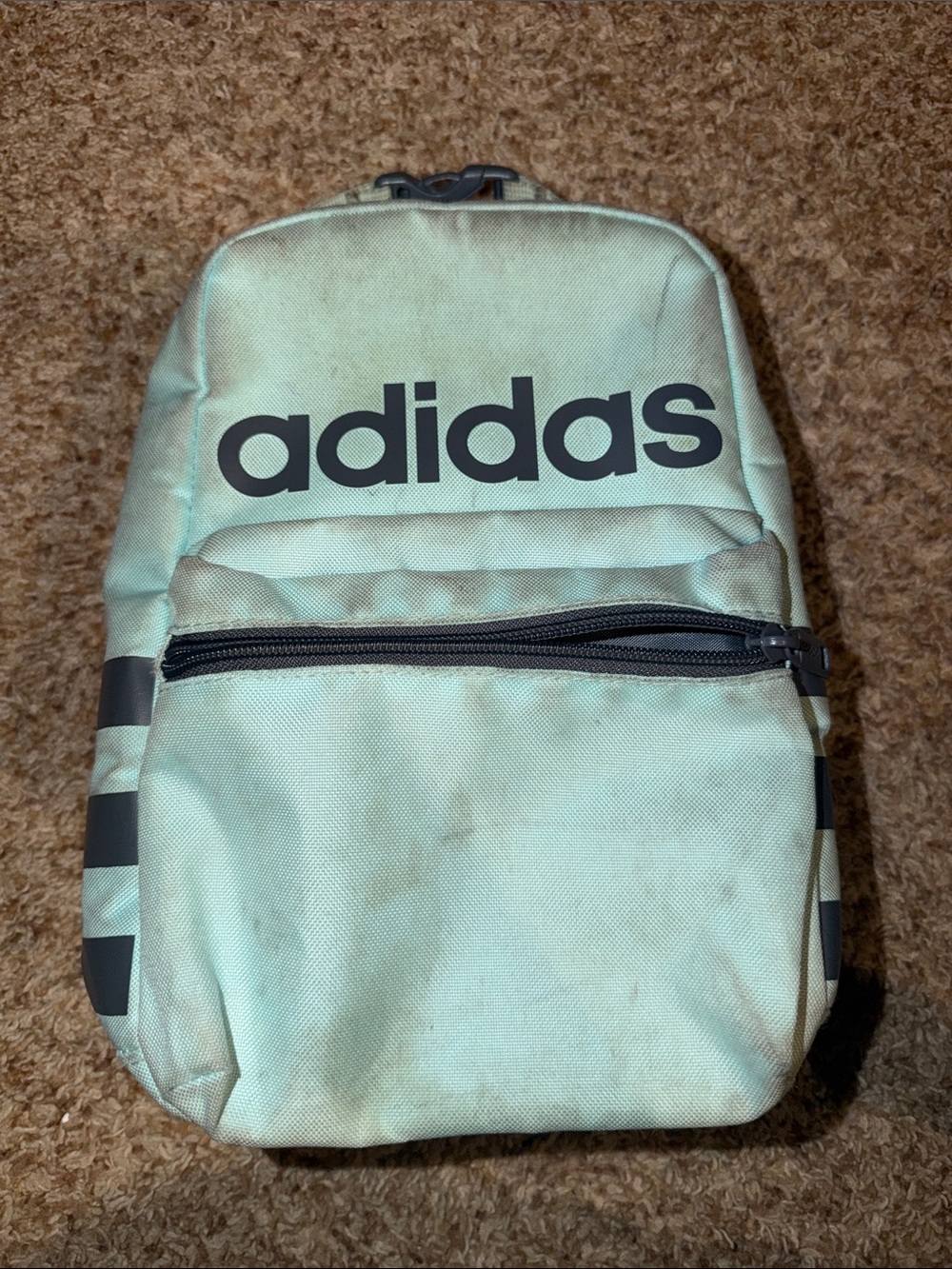 Adidas Originals Lunchbox Mini Backpack Mint Green Insulated Snack Pack Bag